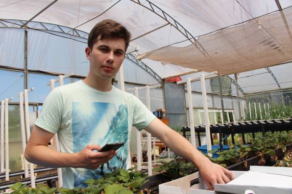 Diego Rafael Kalschne, aluno do curso técnico em Informática aplicou o protótipo no cultivo de morangos