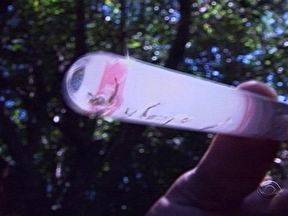 Cinco pacientes contraíram a doença no município de Ubiretama