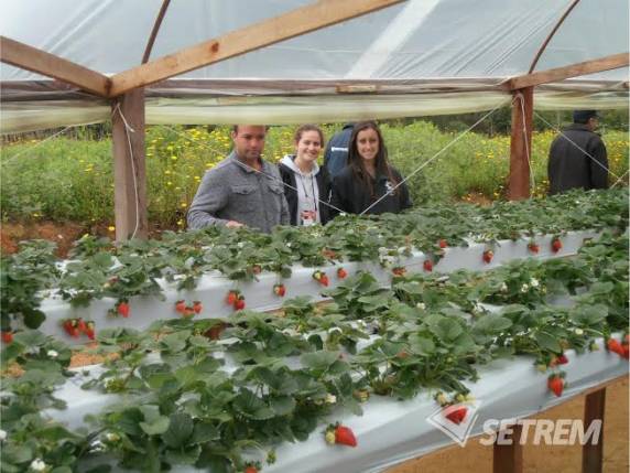 Na Embrapa Clima 

Temperado em Pelotas, o grupo acompanhou atualização e trocou experiências com produtores, pesquisadores e estudantes de várias regiões do RS