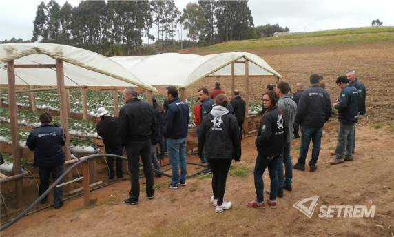 Na Embrapa Clima 

Temperado em Pelotas, o grupo acompanhou atualização e trocou experiências com produtores, pesquisadores e estudantes de várias regiões do RS