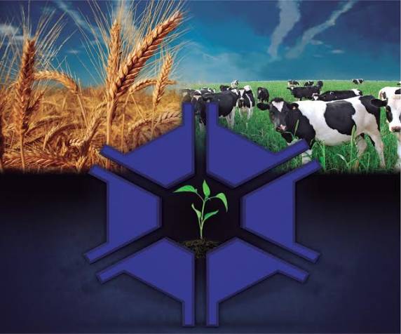 Matrículas para as especializações em Extensão Rural e em Fitossanidade estão abertas até o dia 25 de novembro