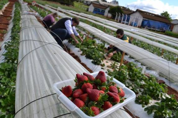 Evento será realizado na 

sexta-feira, 7 de novembro, no Campus da Instituição