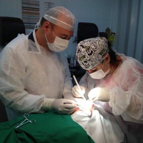 Na primeira semana de Fevereiro, a cidade de Itapema, teve sua 

primeira cirurgia oncocutânea