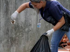 Boletim atualizado da Dive foi divulgado no final da tarde desta sexta (20)