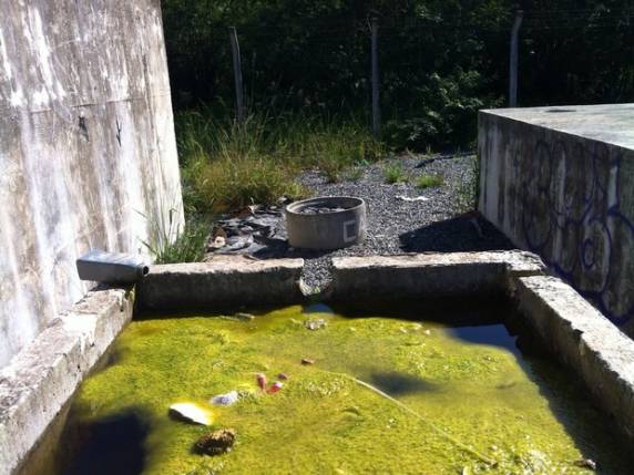 Boletim atualizado da Dive foi divulgado no final da tarde desta sexta (20)