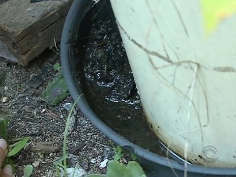 Secretário de Estado de Saúde falou sobre ações emergenciais