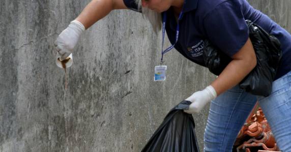 Pelo menos 16 cidades de SC são consideradas infestadas pelo mosquito