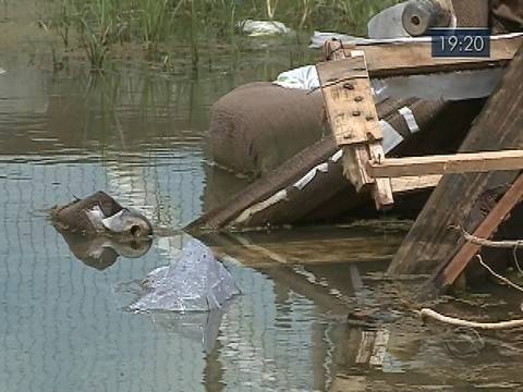 Segundo a Dive, 31% dos focos estão em estabelecimentos comerciais