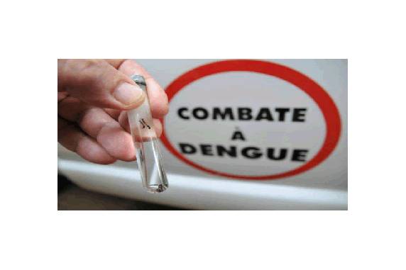 Do total, 456 são 

autóctones, contraídos no estado, e 96 são importados