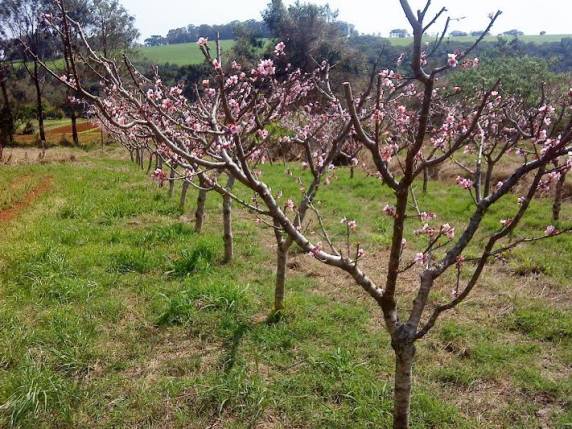 Formação será realizada no dia 13 de agosto, no Campus SETREM