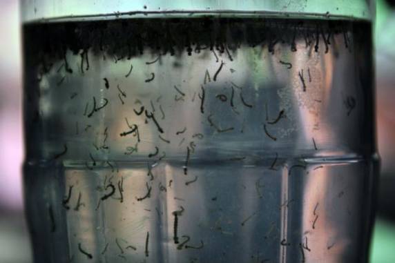 Total é 1,5 mil maior que na 

mesma época do ano em 2014