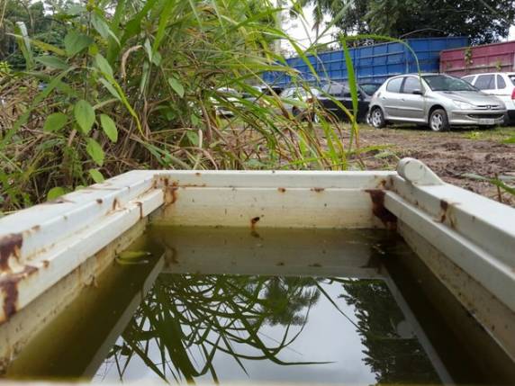 No ano passado, foram confirmados apenas 69 casos