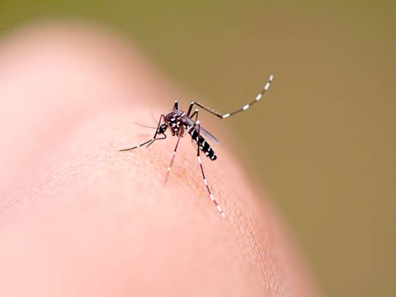 Homem contraiu a doença fora do Estado