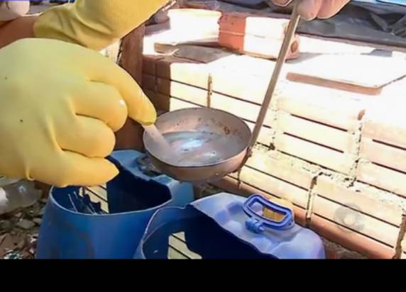 Santa Rosa, no Noroeste, apresenta alto índice de infestação do mosquito