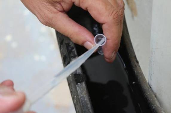 Os três foram importados de 

outras cidades e os pacientes não foram hospitalizados