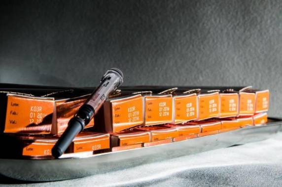 Santa Catarina teve a campanha de vacinação antecipada depois de registrar três mortes provocadas pela doença