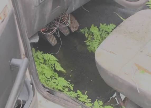 Foram feitas denúncias à Vigilância Epidemiológica em São José