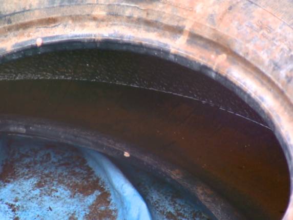 Dos 

2.884 casos de dengue, 2.628 tiveram transmissão dentro do estado