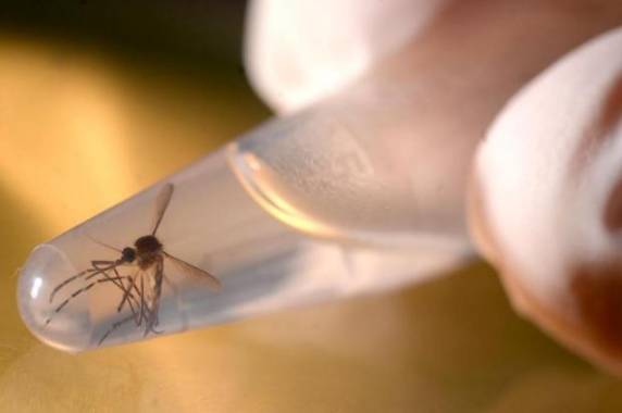 Cinco pessoas foram diagnosticadas com a doença em bairro da zona norte da cidade