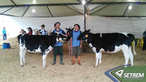 Animais das raças Holandesa e Jersey são criadas no Tambo da Instituição e competiram com 

os de produtores da região