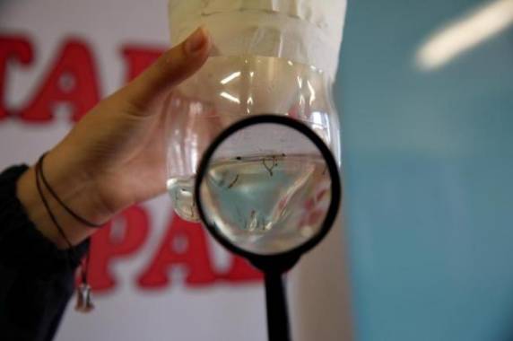 O município de Ijuí foi o que mais teve pacientes 

infectados