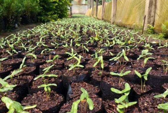 Novo mutirão ocorre na próxima sexta-

feira