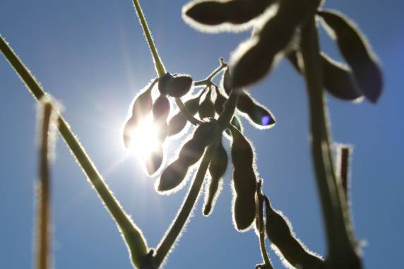 Evento vai abordar temas relacionados à agricultura, tecnologia e legislação ambiental