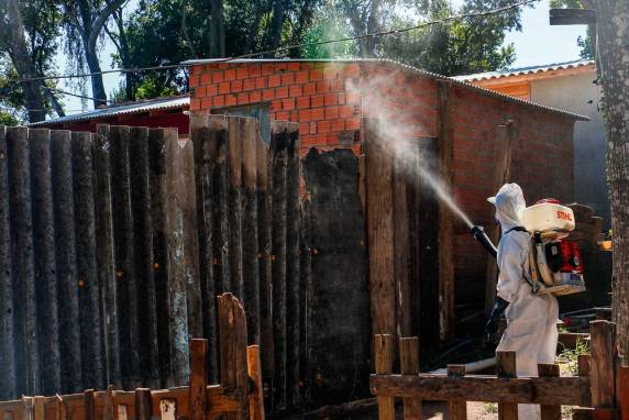 Foram 949 incidências autóctones ? em que a doença foi contraída dentro do estado ? e outras 104 importadas ? de pacientes que chegaram a cidades gaúchas após sofrerem o contágio