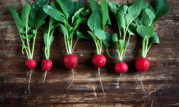 Instituição estará presente no evento com um espaço composto por oito ambientes, na Mostra de Inovação Tecnológica para a Agricultura Familiar