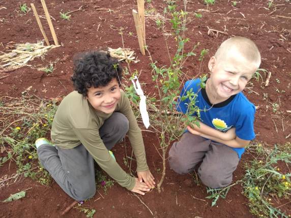 Atividade contou com a parceria do Governo Municipal, Sindicato dos Trabalhadores Rurais e Emater