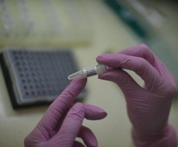 Com as 474 confirmações de óbitos desta terça, país chega a 5.017 vítimas fatais da covid-19