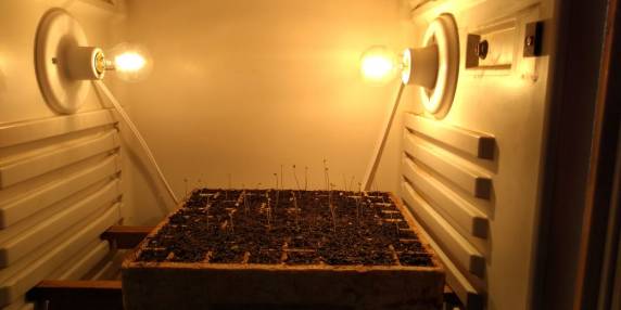 Protótipo foi desenvolvido em um casco de geladeira, com sensores que informam a temperatura e a umidade