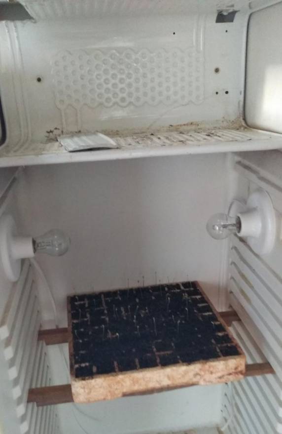 Protótipo foi desenvolvido em um casco de geladeira, com sensores que informam a temperatura e a umidade