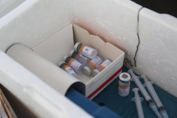 Imunizantes não precisam de aprovação no Brasil, mas devem ter passado pelo aval das autoridades sanitárias de seus respectivos países