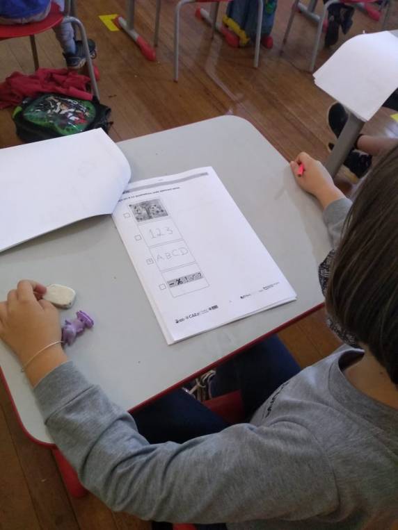 Avaliações ocorreram no mês de novembro