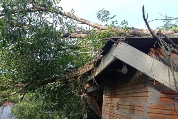 Estação Meteorológica do Inmet, localizada na Embrapa Trigo, registrou ventania de quase 60 km/h