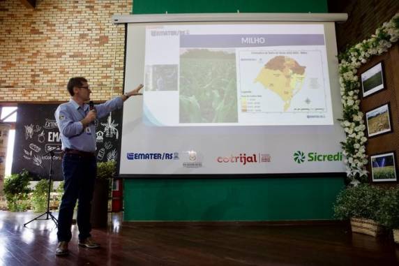 Ainda assim, produção total de grãos é 24% superior à do ciclo passado, porque efeitos da falta de chuva foram menos severos neste ano no Estado