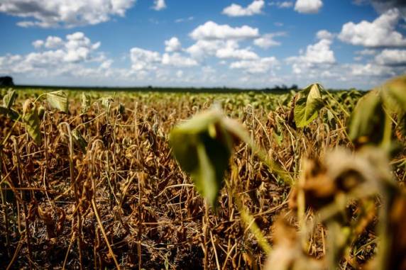 Apesar da melhora, o fenômeno climático segue afetando mais da metade do Estado