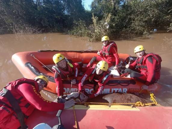 Equipes do Corpo de Bombeiros Militar de Santa Catarina apoiam na busca por desaparecidos após tragédia que atingiu RS na primeira semana de setembro. Animal foi resgatado com vida.