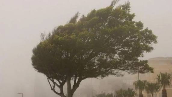 De acordo com a Climatempo Meteorologia, fenômeno deve intensificar temporais, principalmente no Litoral Norte, Região Metropolitana, Norte, Serra e Sul. Vale do Taquari, afetado pela passagem do ciclone no início do mês, também pode registrar tempestades.