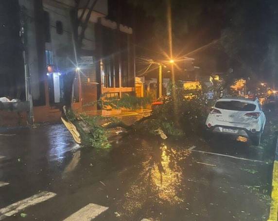 Ruas centrais, incluindo a Avenida Senador Pinheiro Machado, também registram pontos de bloqueio com muitos galhos na pista.