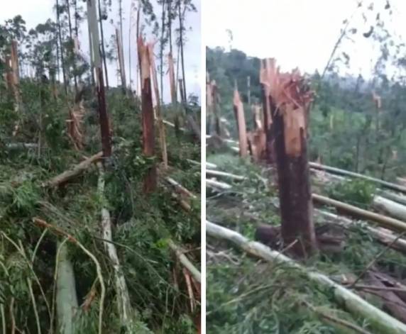 Confirmada pela Defesa Civil, ocorrência foi registrada entre Seara e Itá, no Oeste de Santa Catarina, na madrugada desta quinta-feira.