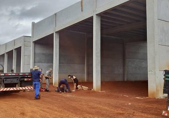 Fortes ventos atingem empresa em construção e deixa dois operários feridos