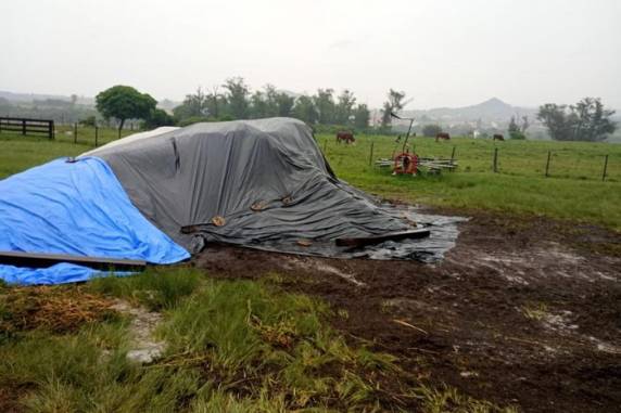 Após vistoria na área de propriedade da universidade, foram localizadas cerca de 40 toneladas de adubo orgânico à base de esterco de peru