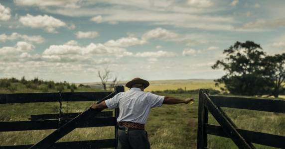 Tipo de ecossistema representa apenas 3% da área continental brasileira resguardada por unidades de conservação
