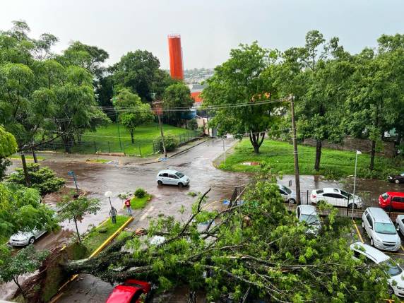 Na região central, diversos restaurantes sofreram danos com a violenta remoção de toldos, enquanto quedas de árvores e destelhamentos em residências foram reportados em diferentes bairros.