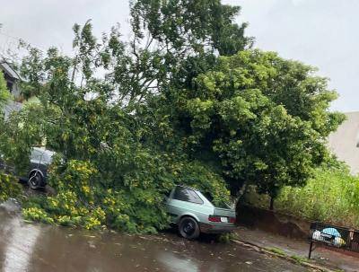 Fortes ventos e chuva iniciaram às 6h45min desta sexta-feira (29)