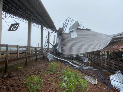 Propriedade das famílias Scherer e Albring foram muito atingidas