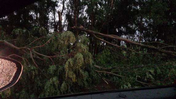 Regiões mais atingidas são Metropolitana e Litoral, além de municípios da Região Carbonífera