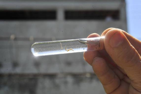 Em 2023, o primeiro óbito foi registrado apenas no dia 15 de março no Estado